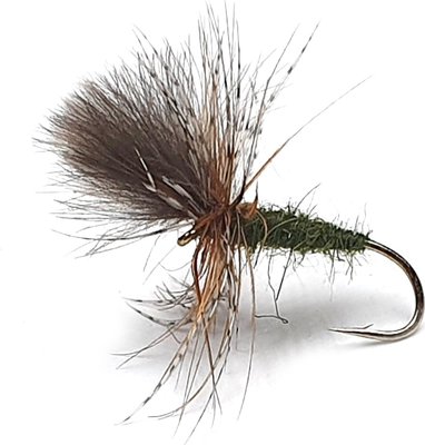 Fario Fly Grunter Olive Size: 10